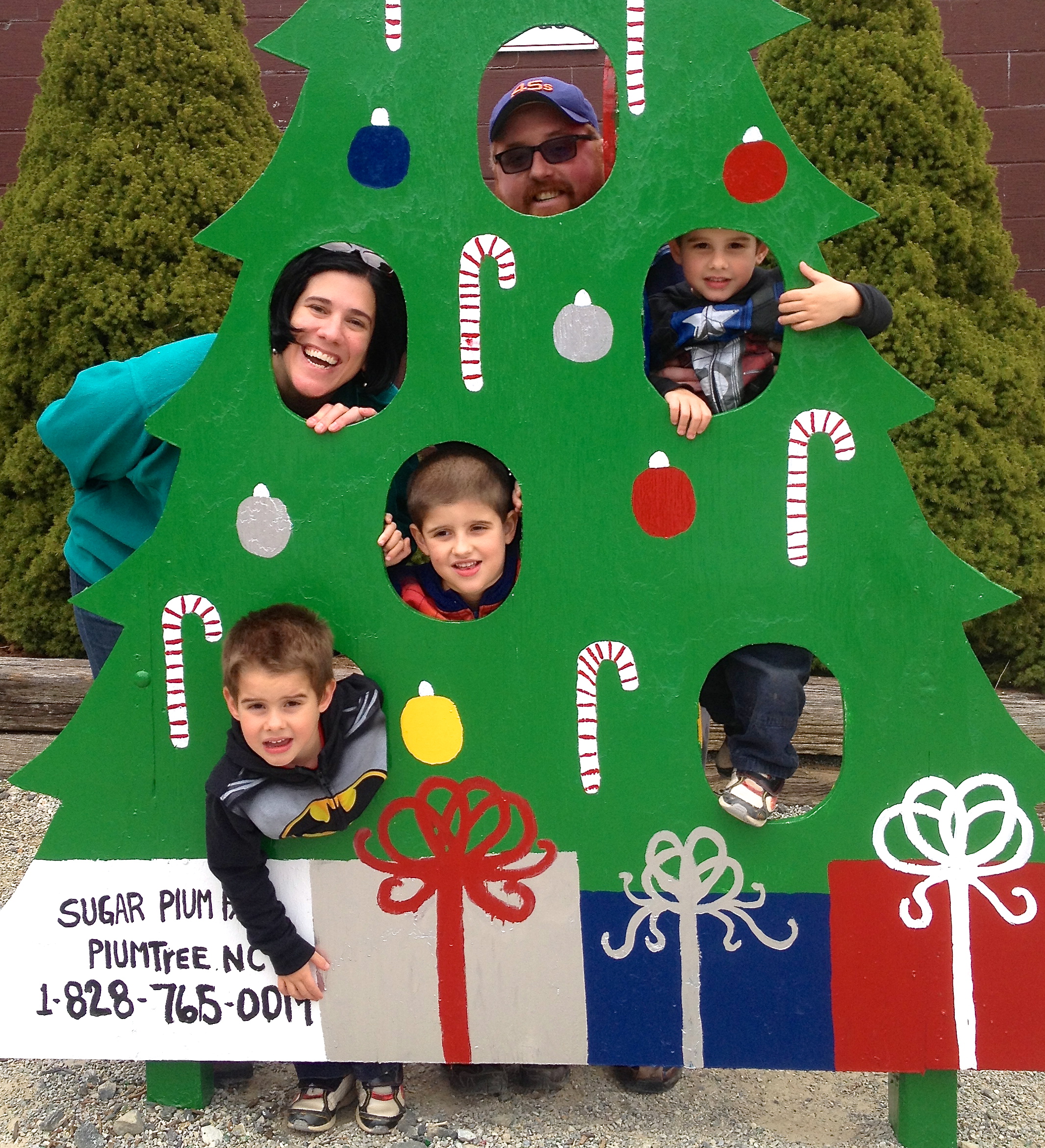 clan @ tree