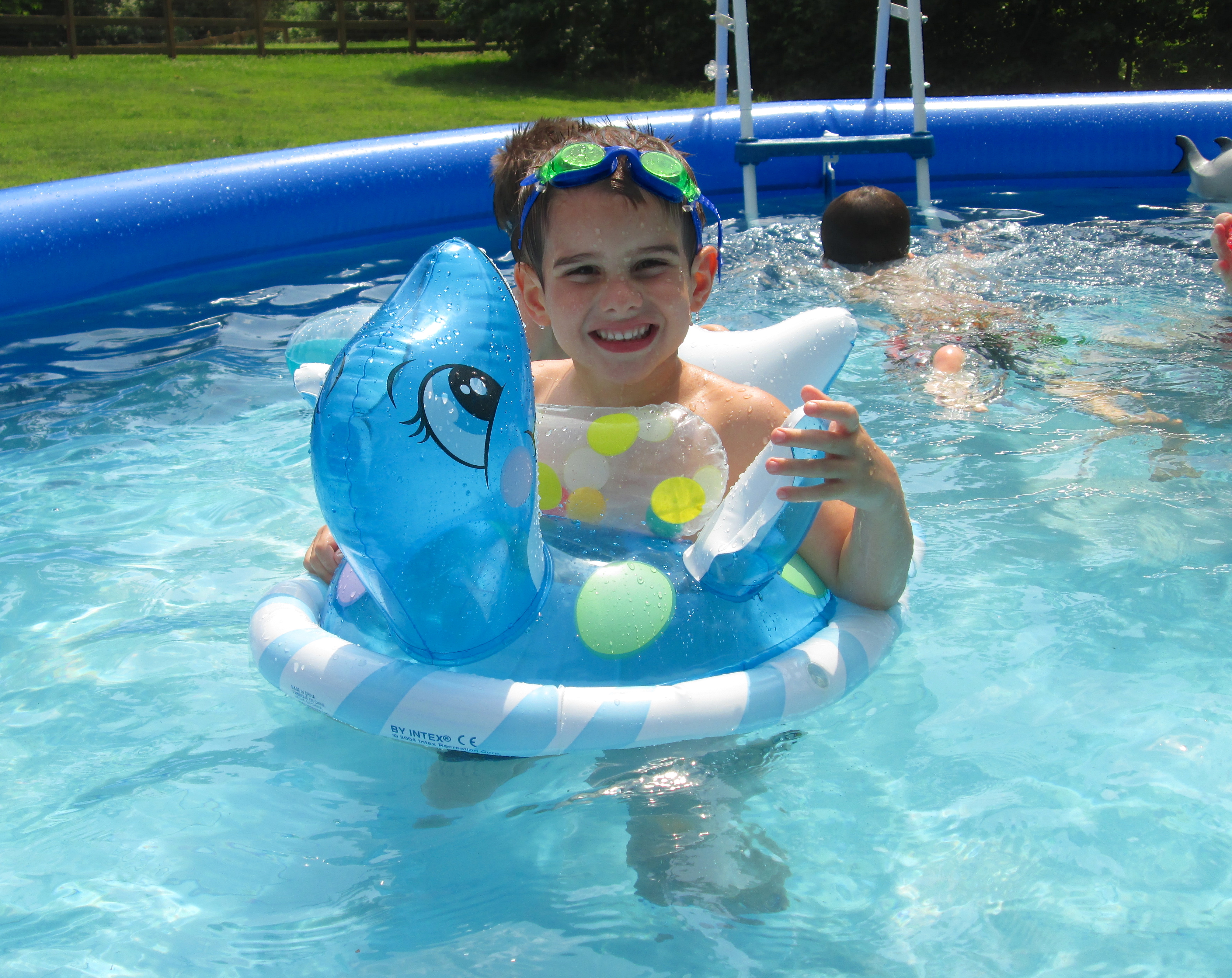 gabe in dolphin