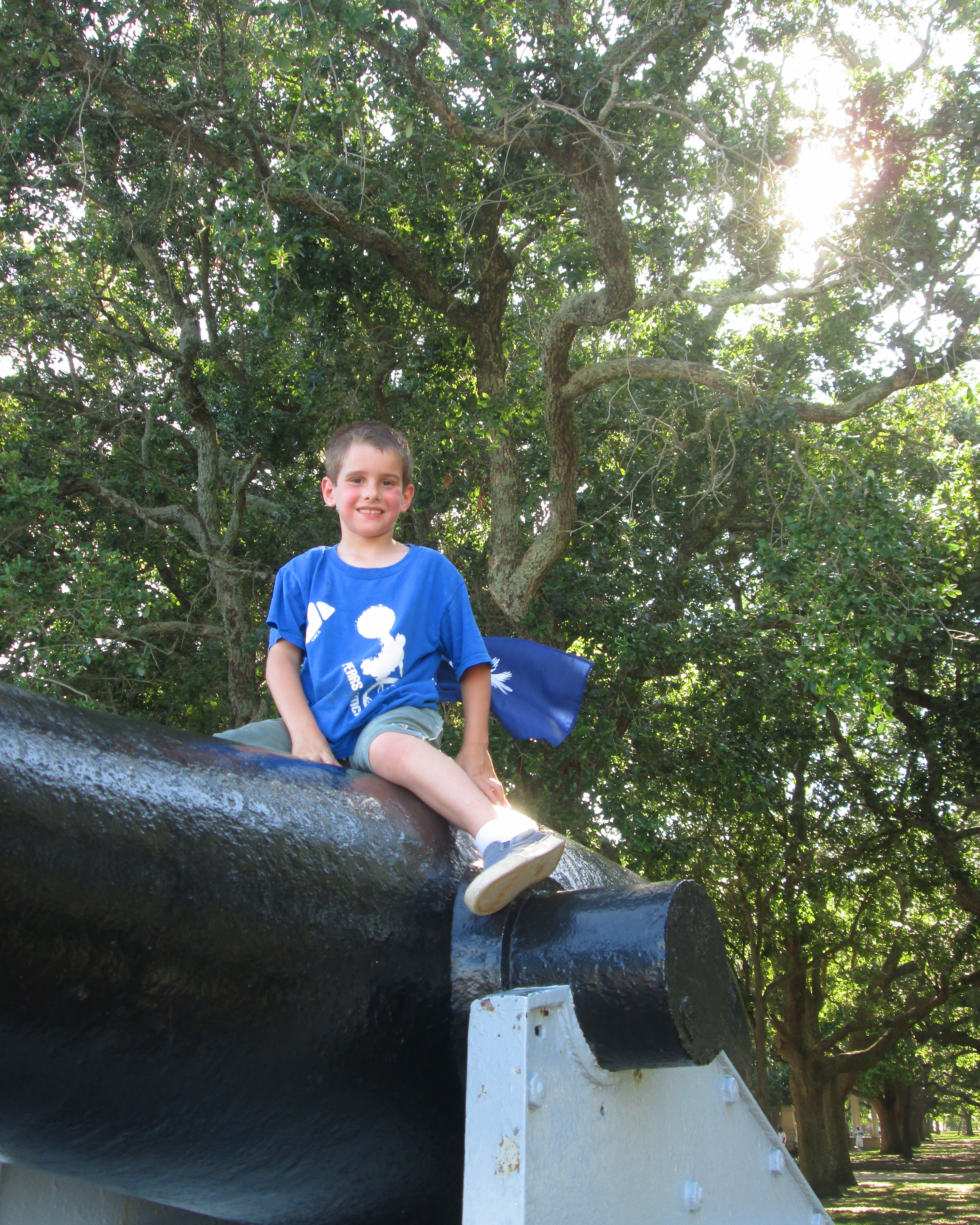 cannon
